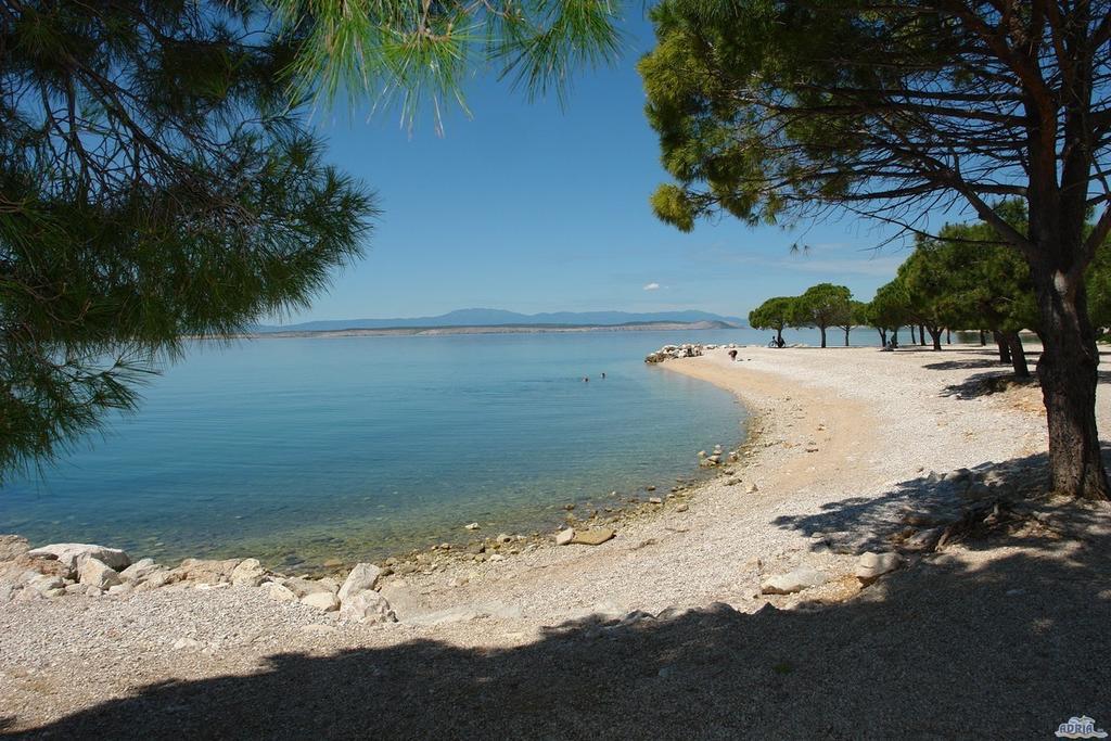 Apartment Promenada Crikvenica Pokoj fotografie